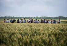 ALL-Ready – Boosting agroecology transition in the European Union