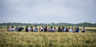ALL-Ready – Boosting agroecology transition in the European Union