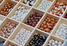 2022: 20 years of making Europe more organic and the Year of Organic IFOAM 20 years