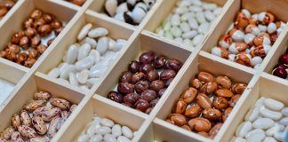 2022: 20 years of making Europe more organic and the Year of Organic IFOAM 20 years