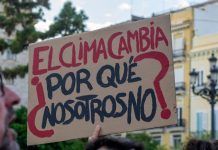 Organitzacions ecologistes i veganisme: història d’una relació complicada organizaciones ecologistas