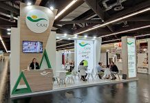 CAAE presenta al mercado internacional los nuevos servicios de certificación caae