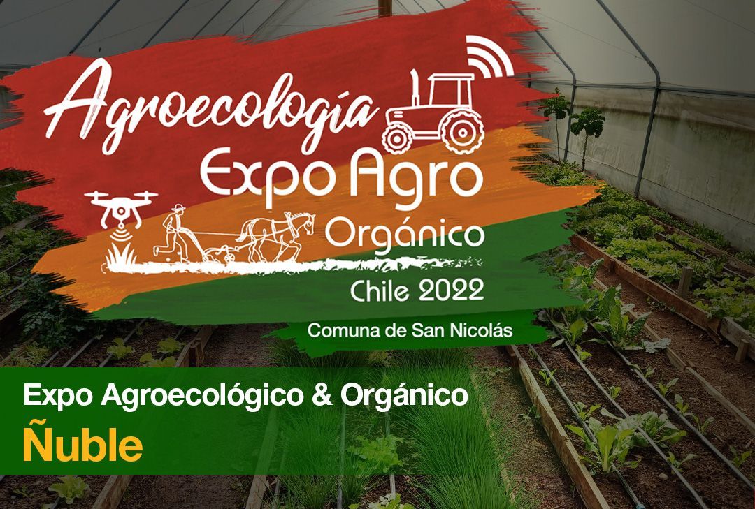 expo-chile