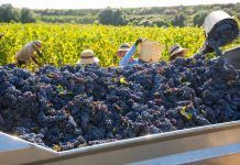 Les empreses ecològiques catalanes es projecten a Alimentaria amb el suport del CCPAE biodiversitat biodiversidad
