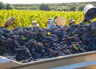 Les empreses ecològiques catalanes es projecten a Alimentaria amb el suport del CCPAE biodiversitat biodiversidad