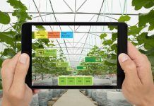 Blockchain: una oportunitat per a la certificació de productes ecològics blockchain