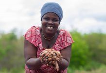 Comercio Justo, la solución para que el chocolate no tenga un sabor amargo