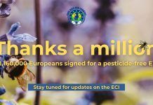 Válido el millón de firmas europeas para salvar a las abejas "Save Bees Save Farmers"