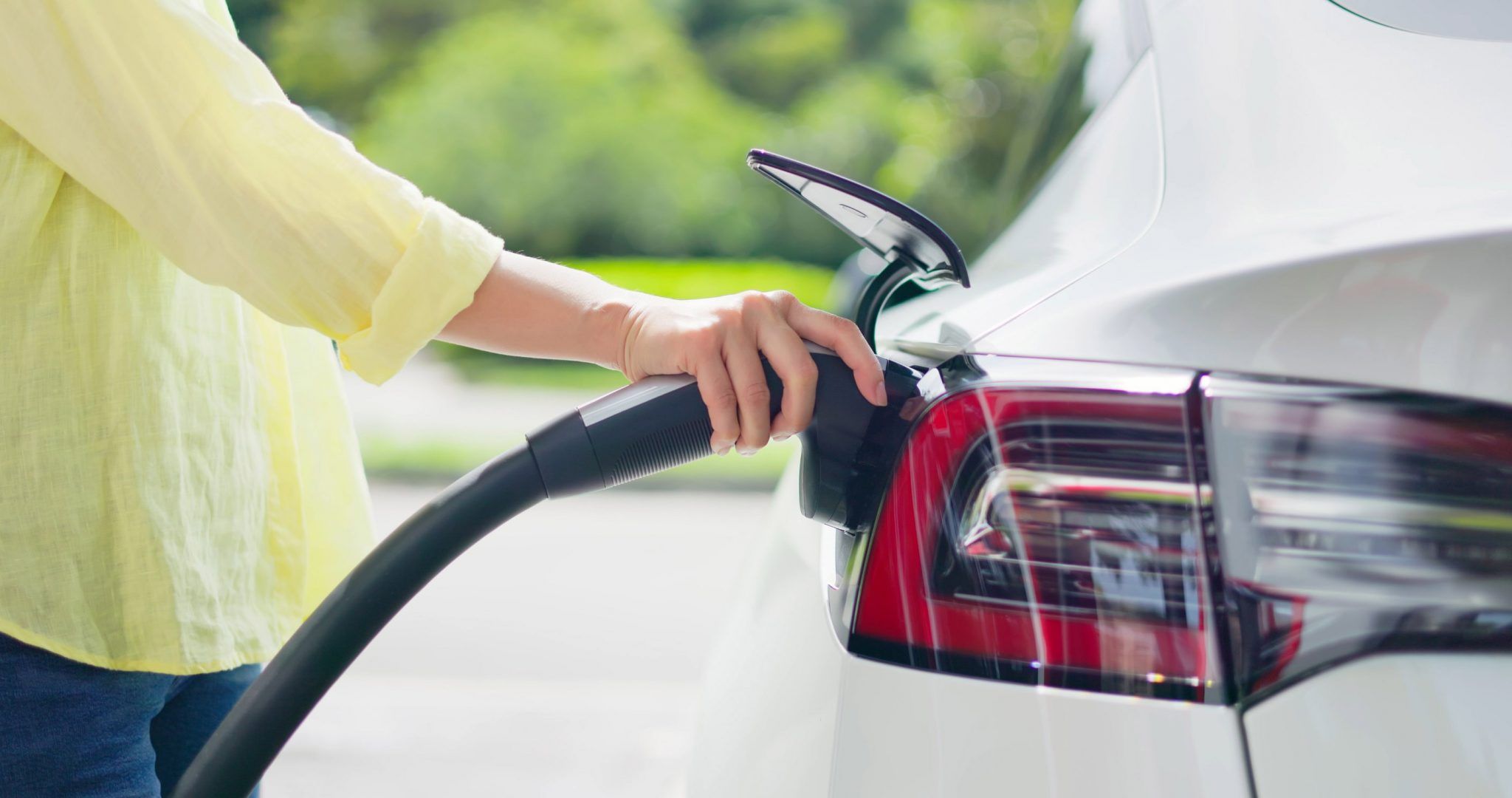 Ahorro de combustible para reducir nuestro impacto ambiental - Bio Eco ...