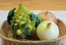 Fruites i verdures de temporada a la tardor otoño