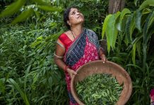Fairtrade advierte a la comunidad internacional que no hay justicia climática sin Comercio Justo