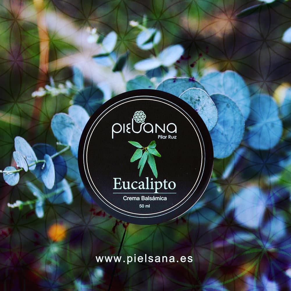 pielsana eucalipto