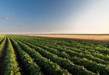 Chemical Residues in Organics: Dealing with residue handling residue handling