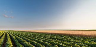 Chemical Residues in Organics: Dealing with residue handling residue handling