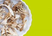 Maitake: enforteix el sistema immunitari i millora les defenses maitake