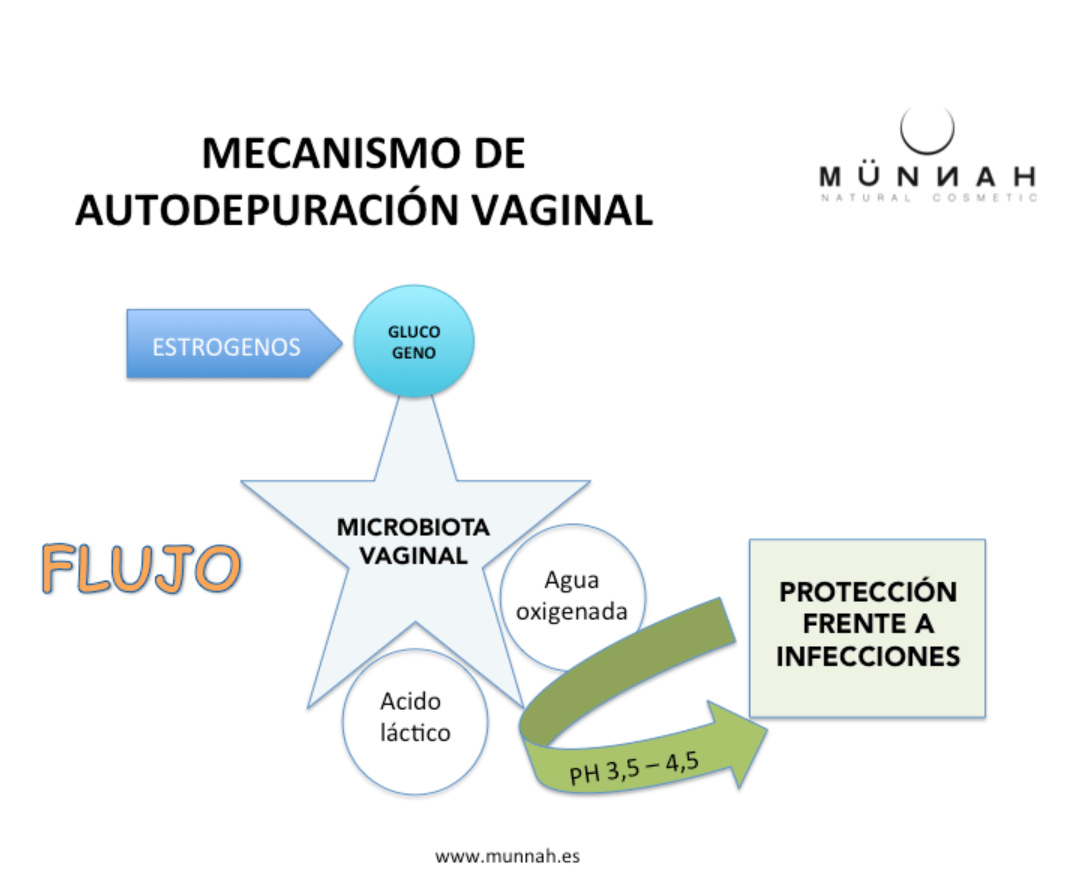 mecanismo autodepuracion vaginal
