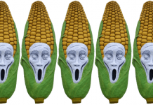 Patents filed by KWS are a threat to plant breeding in Europe no patents on seeds