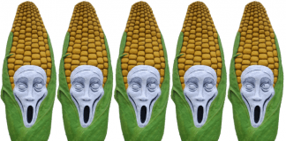 Patents filed by KWS are a threat to plant breeding in Europe no patents on seeds