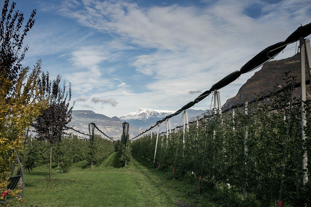 BioSüdtirol