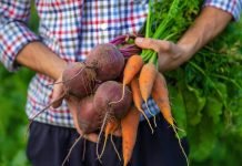 OPTA Europe, defending organic processing and trade in the EU