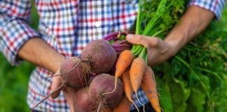 OPTA Europe, defending organic processing and trade in the EU
