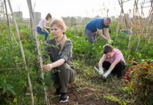 The organic sector must respond to regenerative momentum regenerative