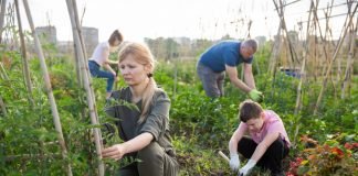 The organic sector must respond to regenerative momentum regenerative