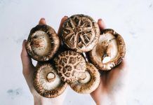 Xiitake: excel·lent protector contra el càncer shiitake
