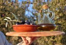 The internationalization of quality Spanish organic products and the Biofoods from Spain group spanish organic products
