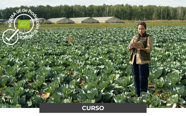 curso-caae-destacada