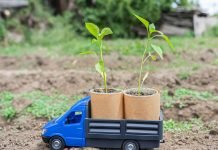 Insums ecològics, producció lliure de químics insumos ecológicos
