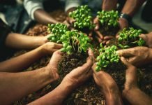 Organics in international development cooperation organic cooperation