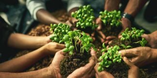 Organics in international development cooperation organic cooperation