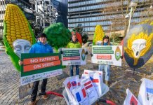 Rising resistance against patents on seeds and agricultural food products in Europe