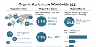 Organic retail sales reached almost €125 billion and organic farmland grew to 76.4 million hectares in 2021