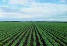 European organic companies welcome the efforts to fight the proliferation of green claims & labels but request to better encompass the F2F Strategy