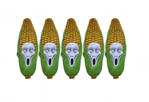 Opposition against the patent on maize