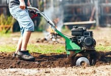 El sòl a la normativa per a la producció ecològica?