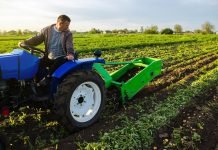 Terra Eco: nova fira a València