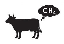 L’agricultura ecològica pot alimentar el món?