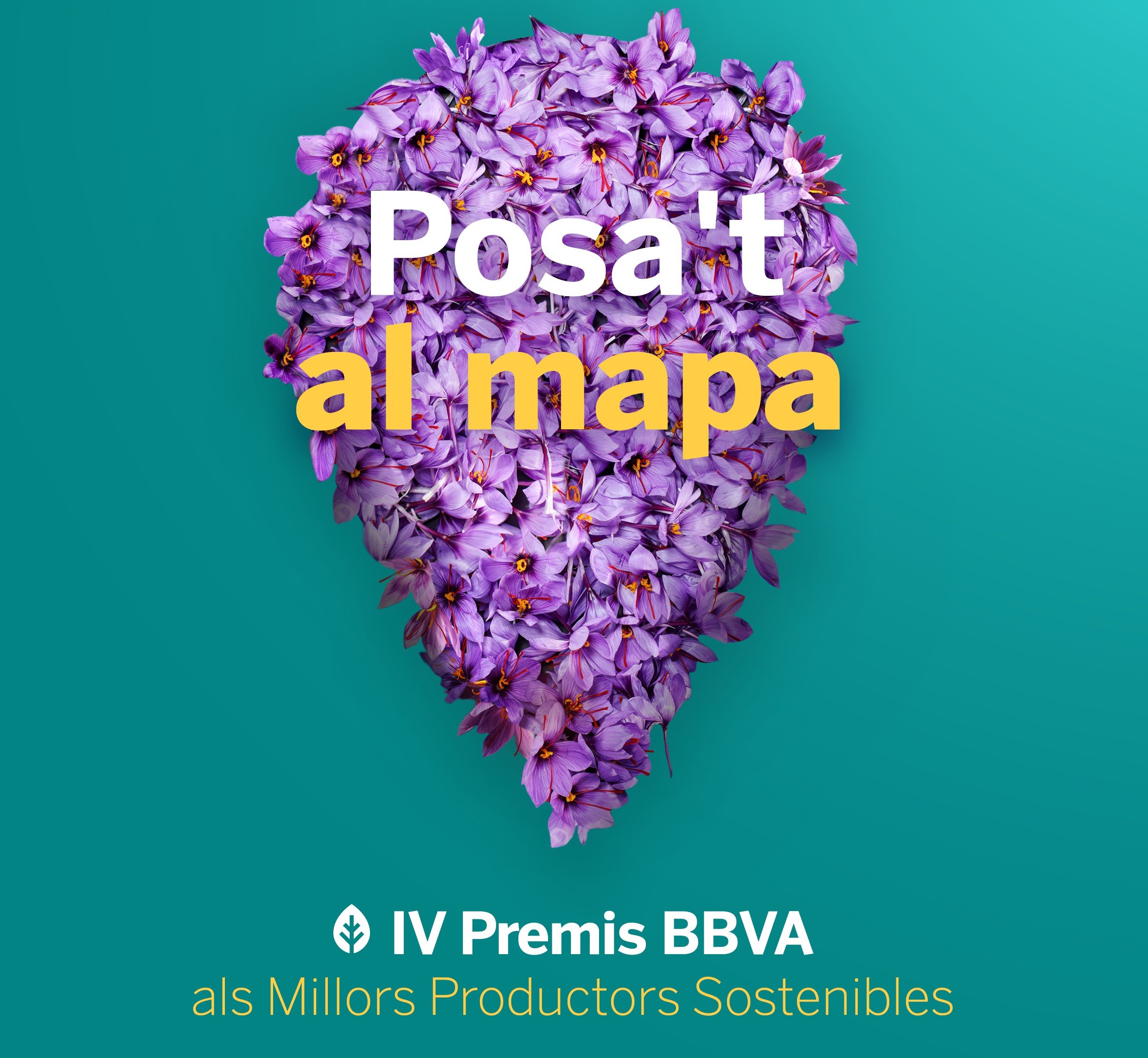 bbva cat portada