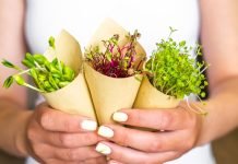 Brots germinats, aliments vius