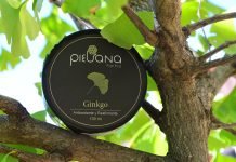 Neteja i depuració a la primavera, amb la gamma de Ginkgo de Pielsana