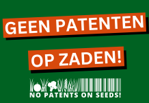 Opposition against a patent on maize with previously known traits