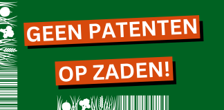 Opposition against a patent on maize with previously known traits