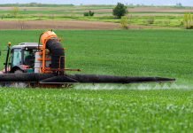 ¿Qué impacto tiene la contaminación ambiental por plaguicidas en la cadena alimentaria ecológica? pesticide contamination