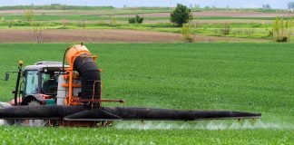 What impact has environmental pesticide contamination on the organic food chain? pesticide contamination