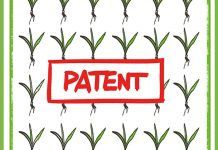 More than 1.000 plant varieties affected by patents