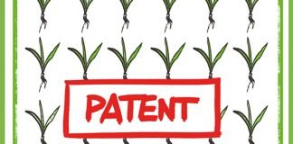 More than 1.000 plant varieties affected by patents