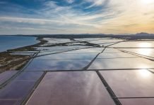 Sal marina ecològica: sabor i sostenibilitat a cada mos sal marina ecológica